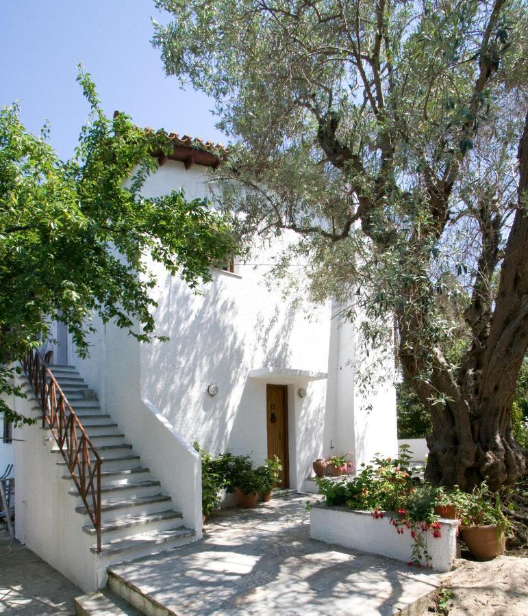 Villas Alexandra Skiathos Platanias  Exterior foto